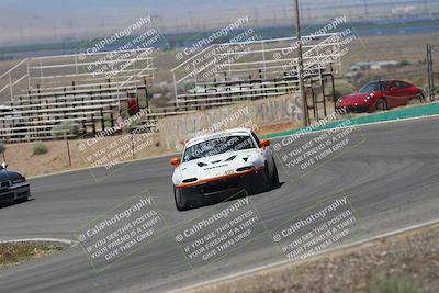 media/May-03-2025-Lucky Dog Racing (Sat) [[206de64b9d]]/Turn 4 B (1150am-130pm)/